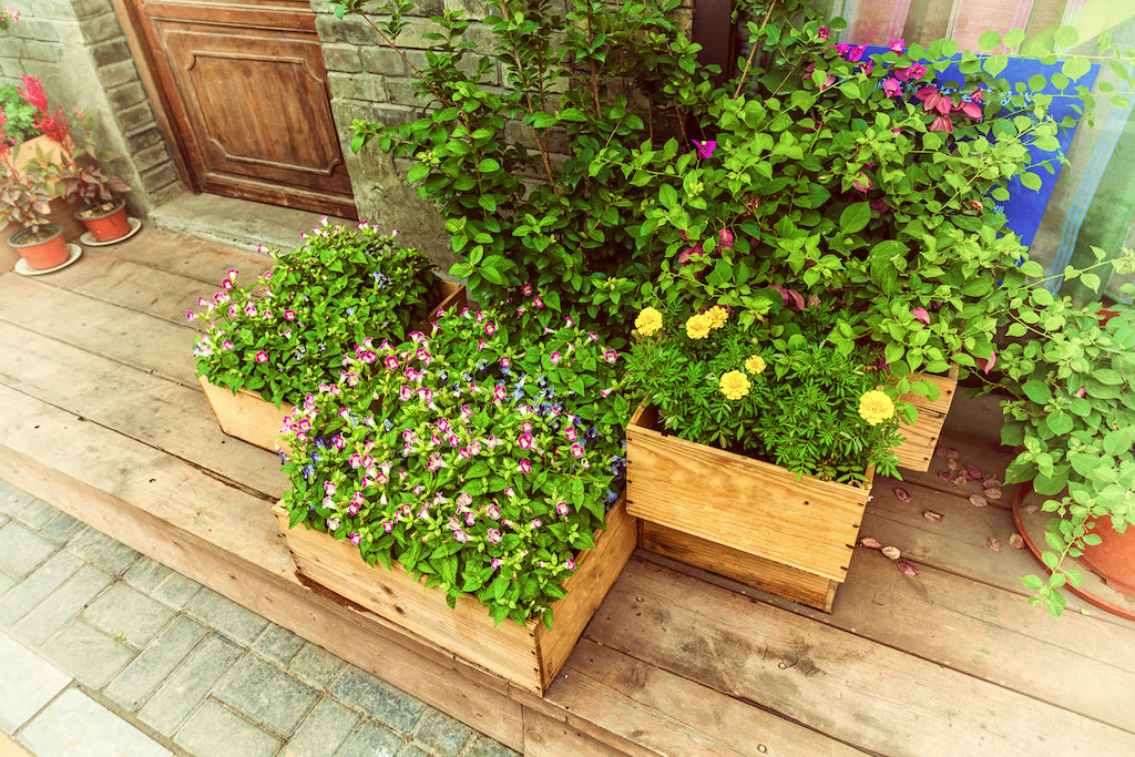 Use plastic shims to fix 3 common issues with planters